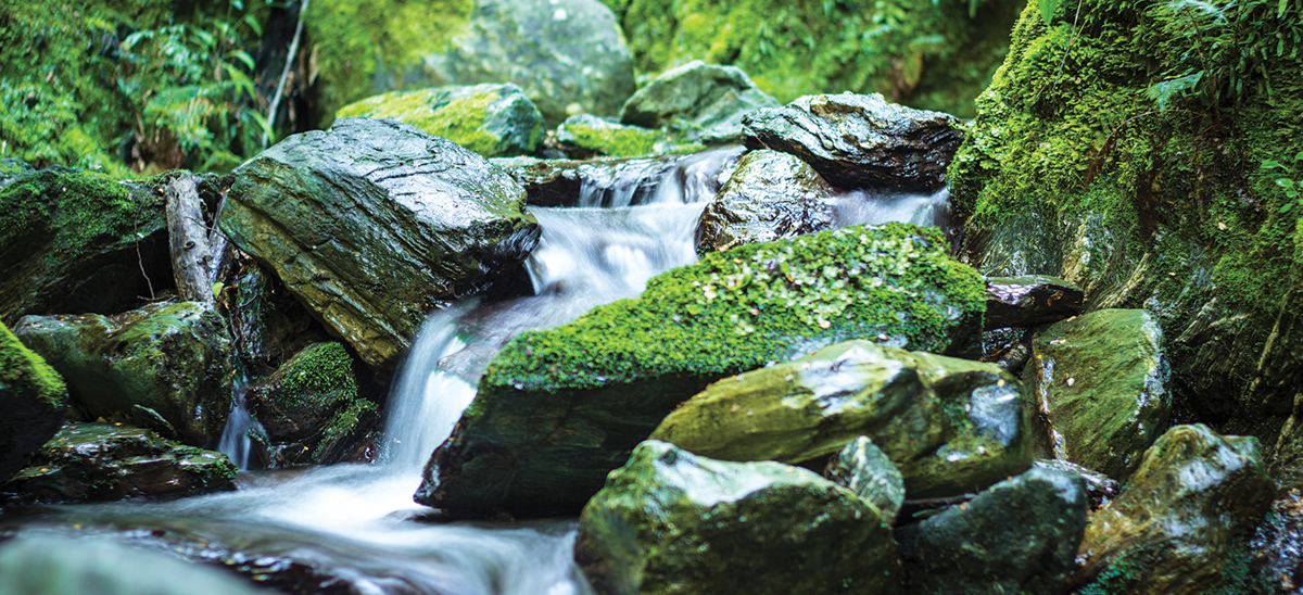 mossy-stream-mt-chrichten.png